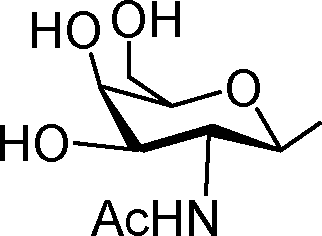 Aub