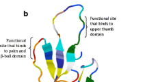 Antibacterial properties of snake venom ponents chemical papers