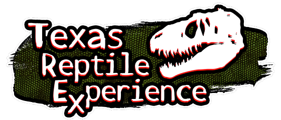 Texas reptile experience