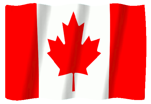 Free flag gifs wave stickers