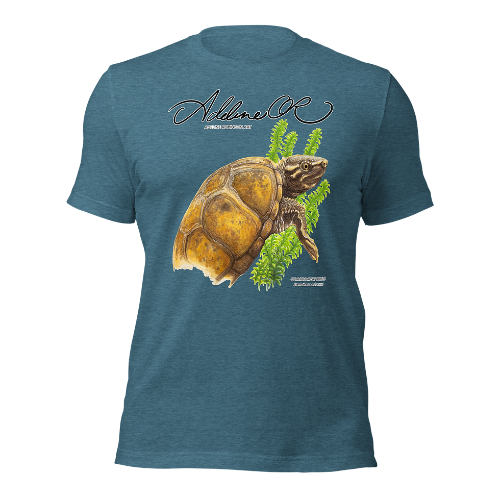 Apparel adeline robinson art