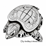 Turtle shell coloring pages