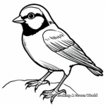 Black capped chickadee coloring pages
