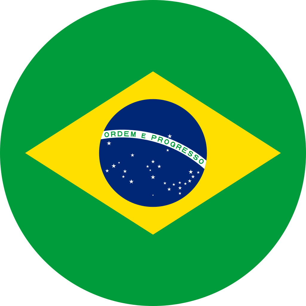 Filebrazilian flag