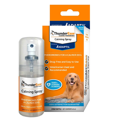 Dog health and wellness
