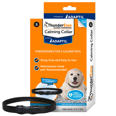 Dog collars and leashes