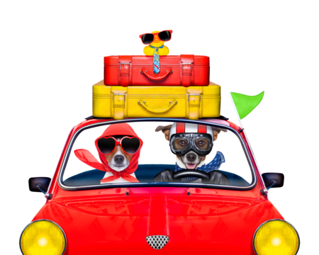 Just married car png transparent images free download vector files