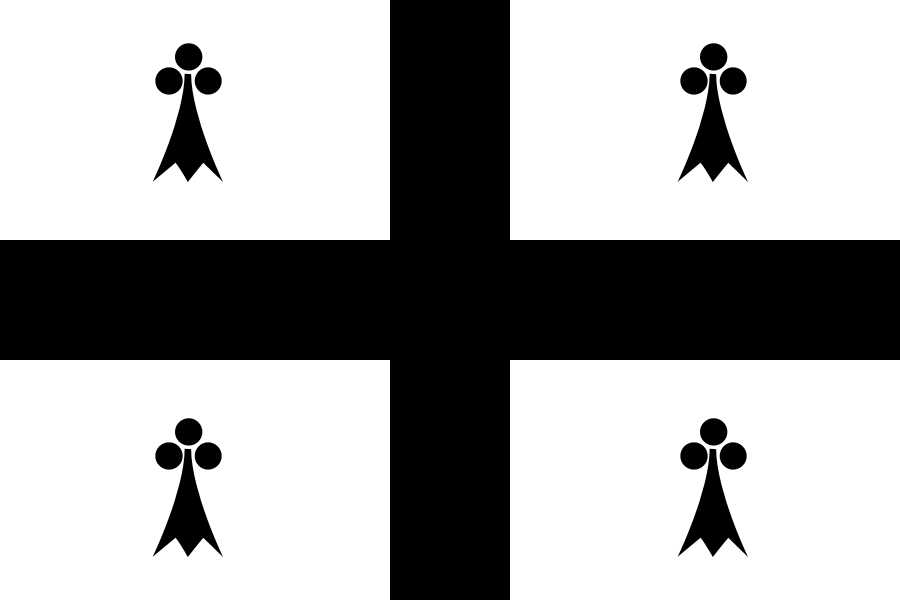 Some of cliffburtonshairs breton flag redesigns i found on imgur rvexillology