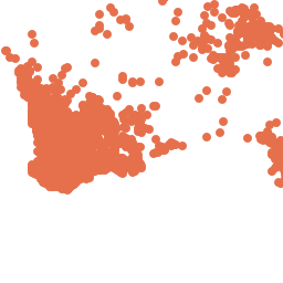 Allocasuarina atlas of living stralia