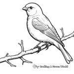 Winter birds coloring pages