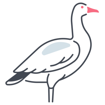 Goose icon images â browse photos vectors and video