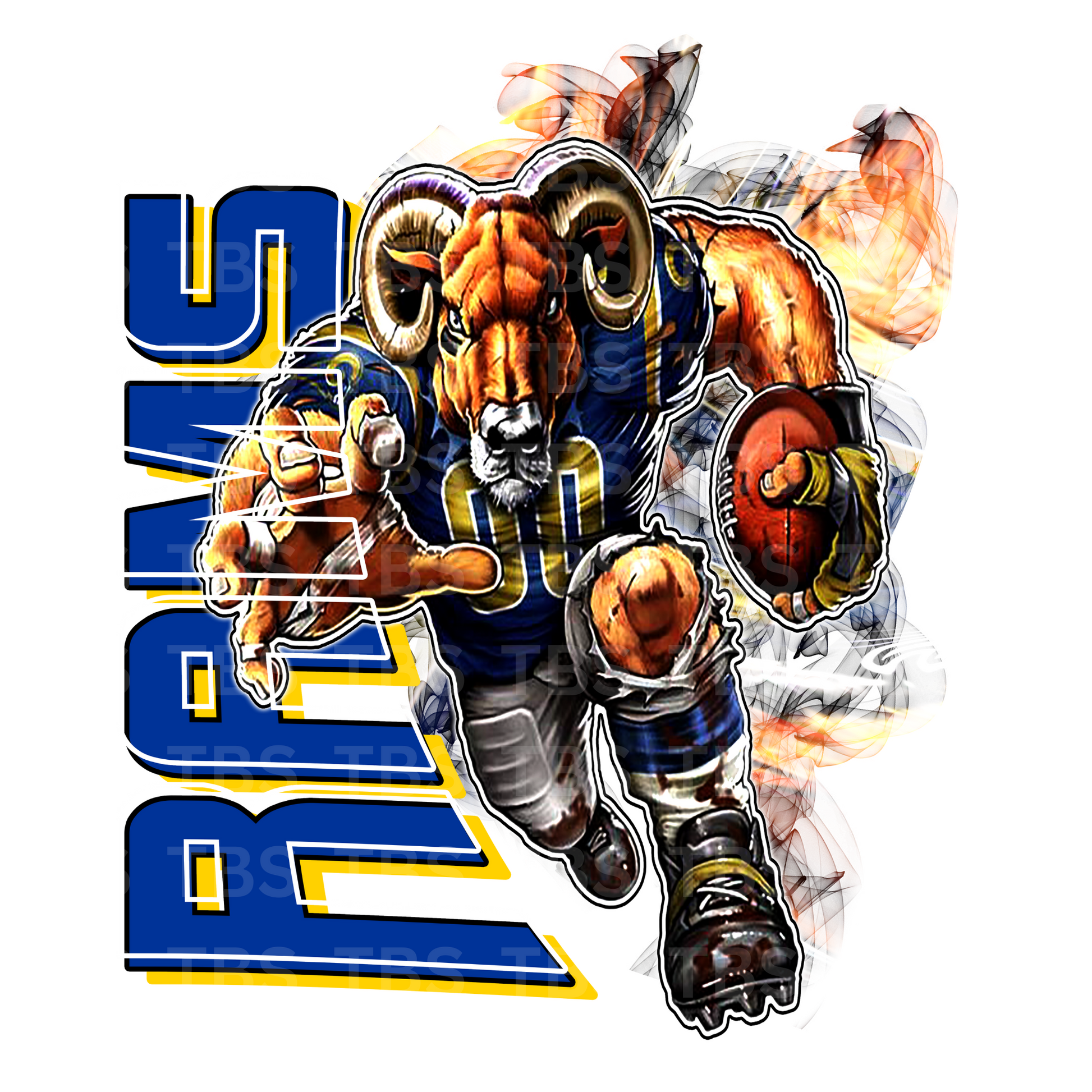 Pro football style t