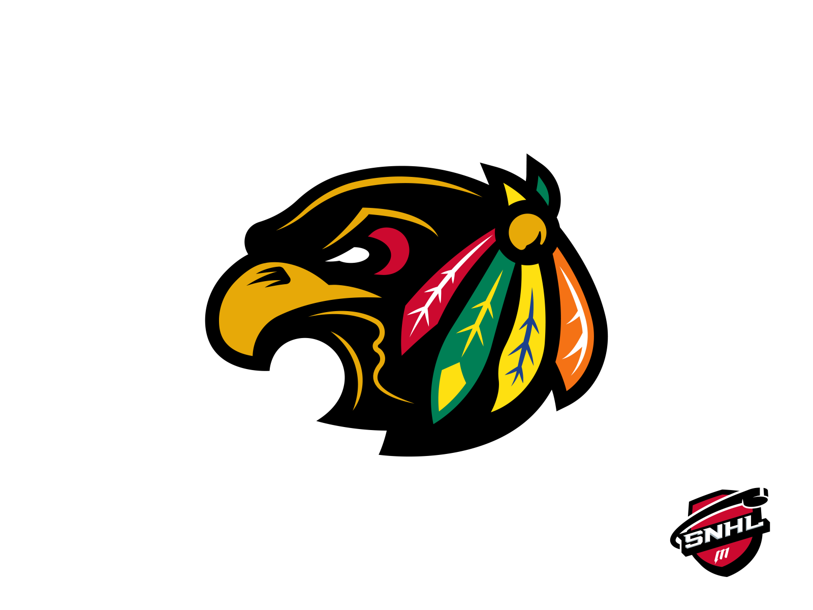 Chicago blackhawks