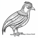 Pheasant coloring pages