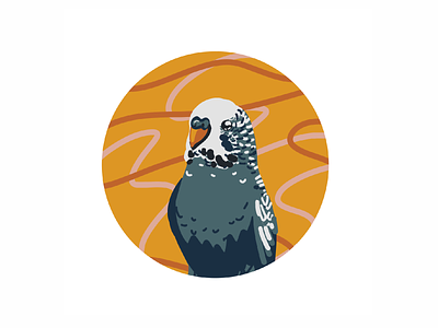 Budgie designs themes templates and downloadable graphic elements on