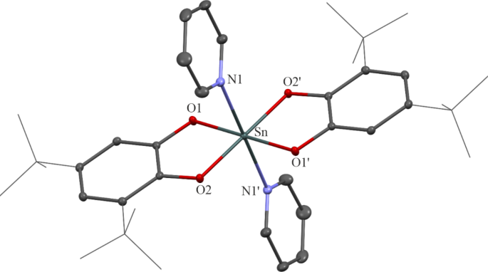 Tiniv plexes based on diimines and