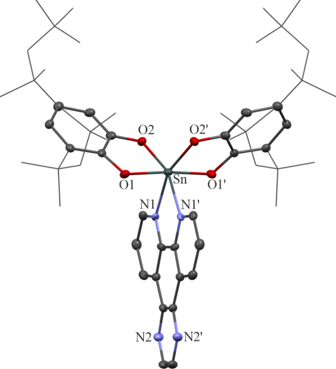 Tiniv plexes based on diimines and