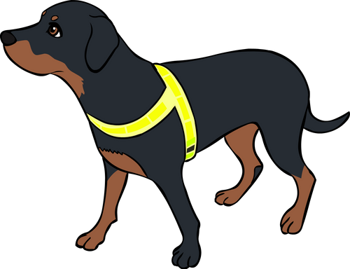 Reflective harness
