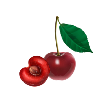 Pit png transparent images free download vector files