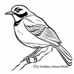 Mockingbird coloring pages