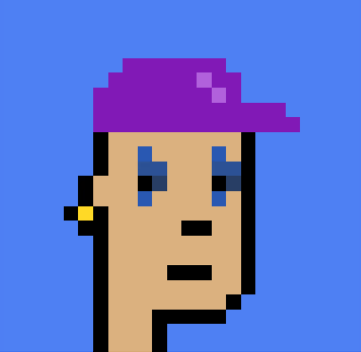 Polygonpunks polygonpunks x