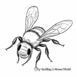 Bumble bee coloring pages