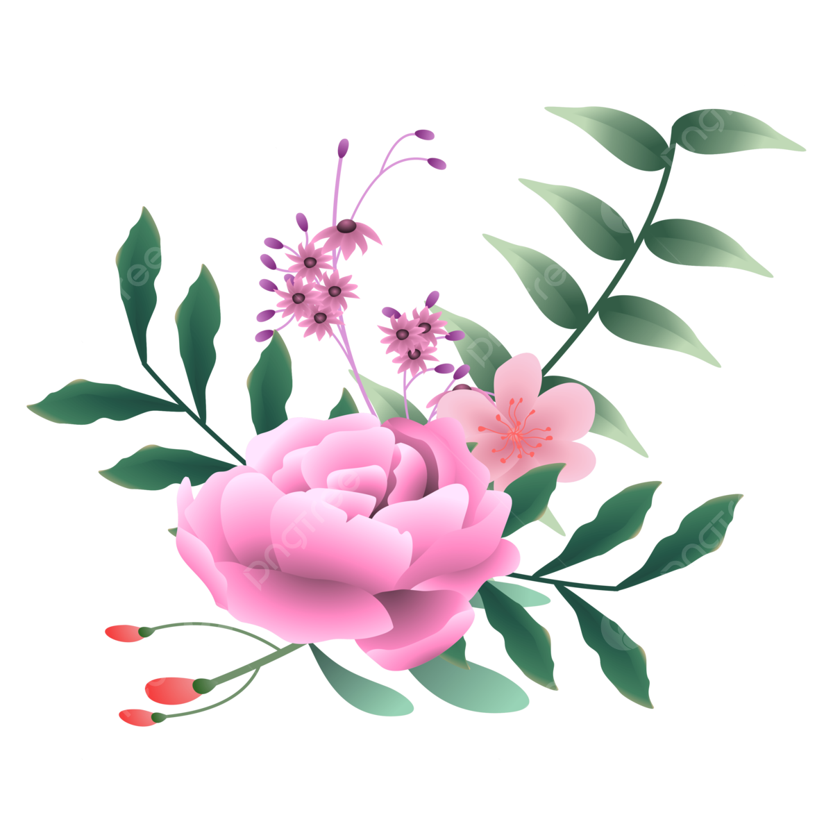 Vector peony flower png vector psd and clipart with transparent background for free download