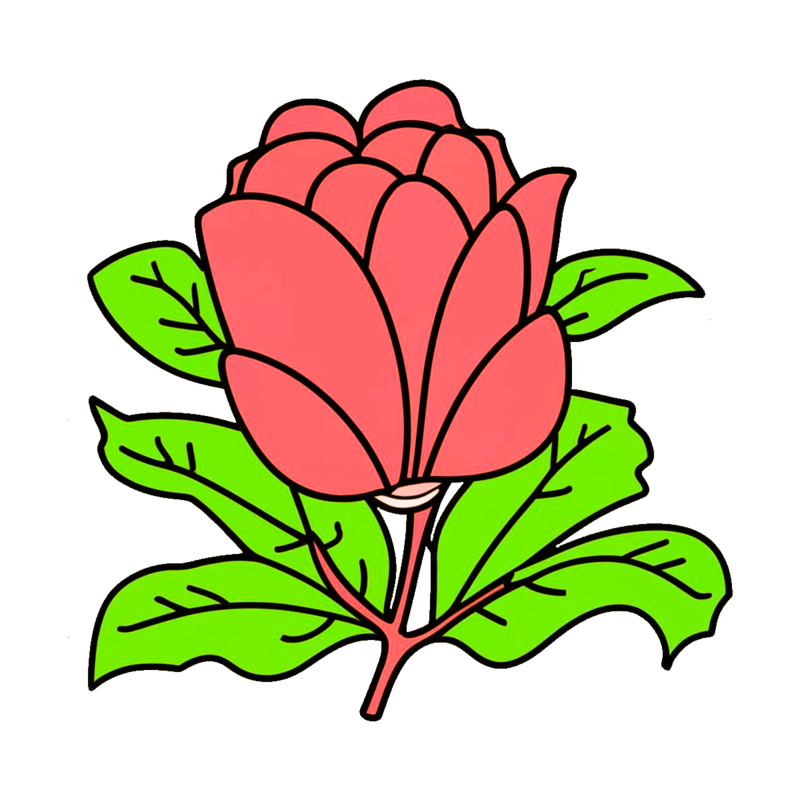 Cartoon doodle linear rose flower png png images psd free download