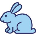 Rabbit icons symbols
