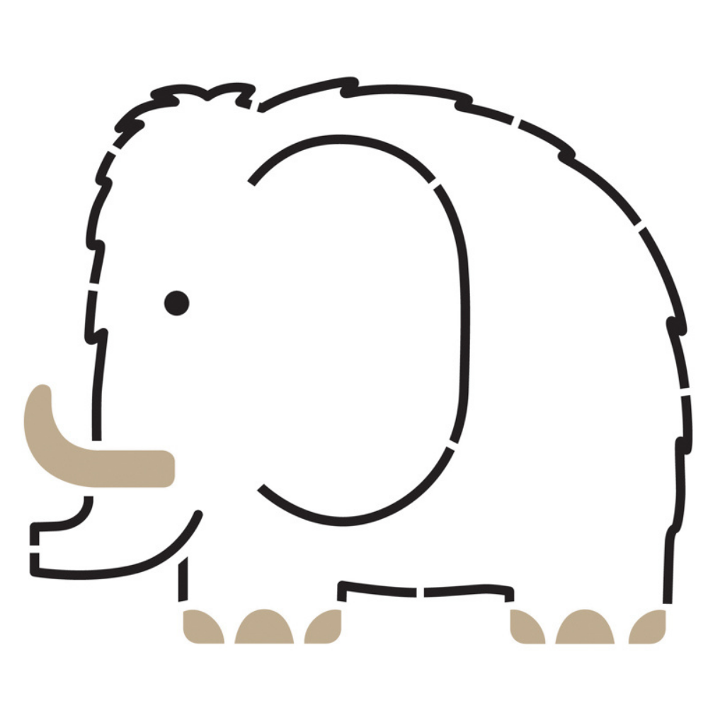 Djeco dinosrs stencils â merchants