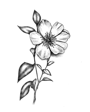 Home acoustic ink tattoos revelstoke bc