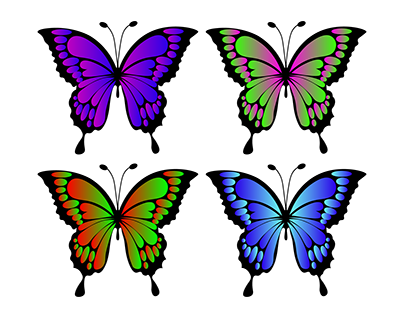 Insect illustration projects photos videos logos illustrations and branding