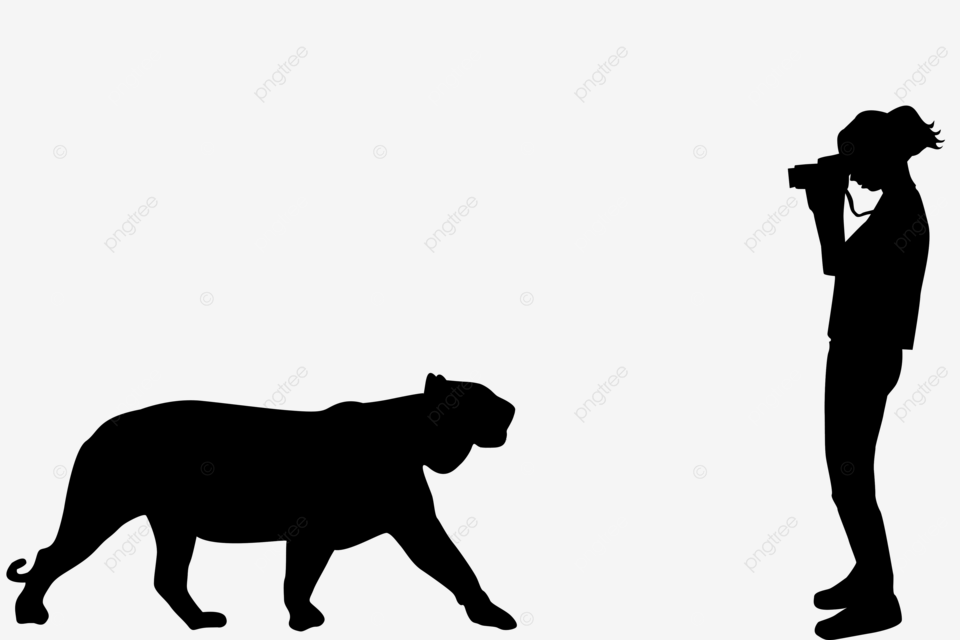 Grapher tomar una foto del tigre grapher png dibujos chica cãmara antecedent png imagen para dcarga gratuita