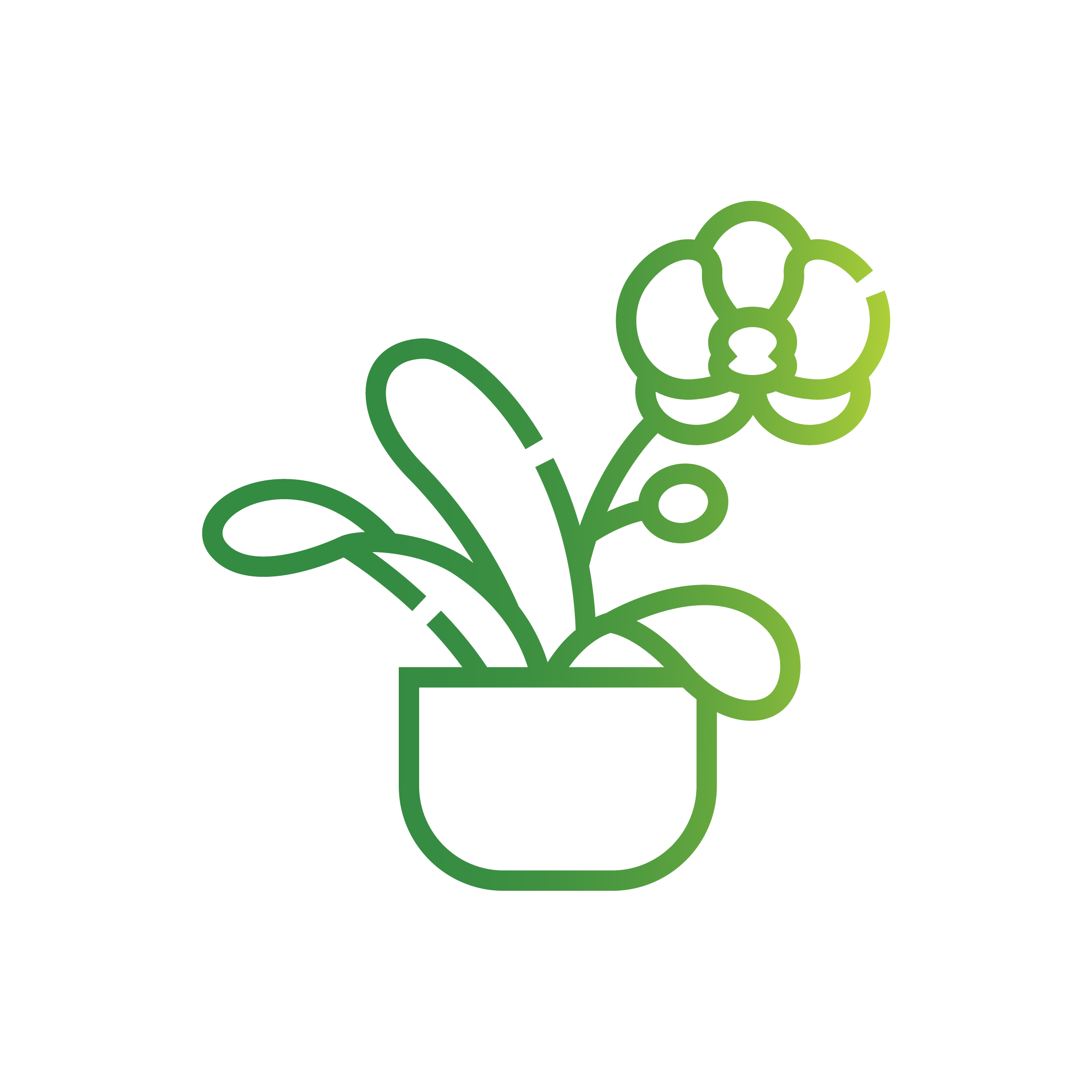 Buy outdoor plants online at low prices â vermi organics