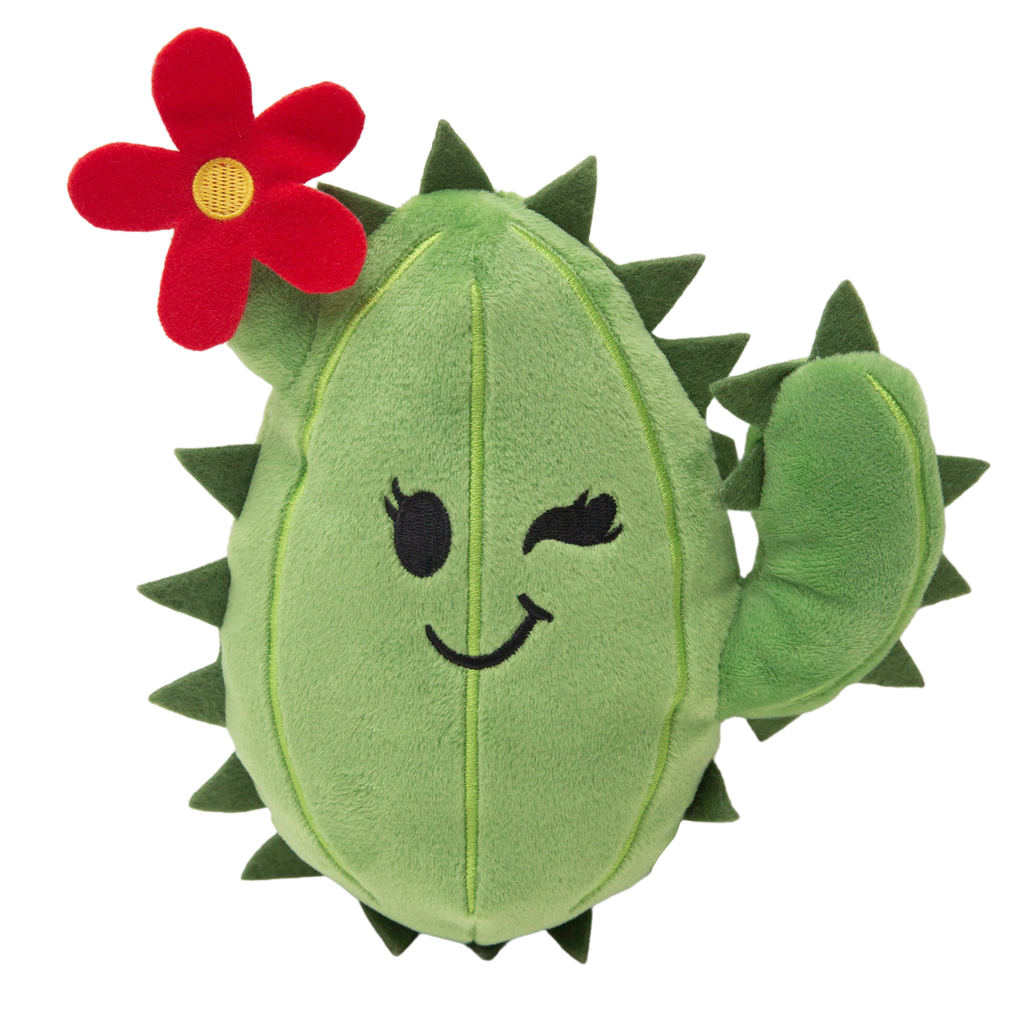 Chloe the cactus
