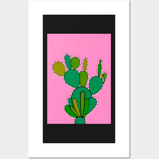 Cacti merch for sale