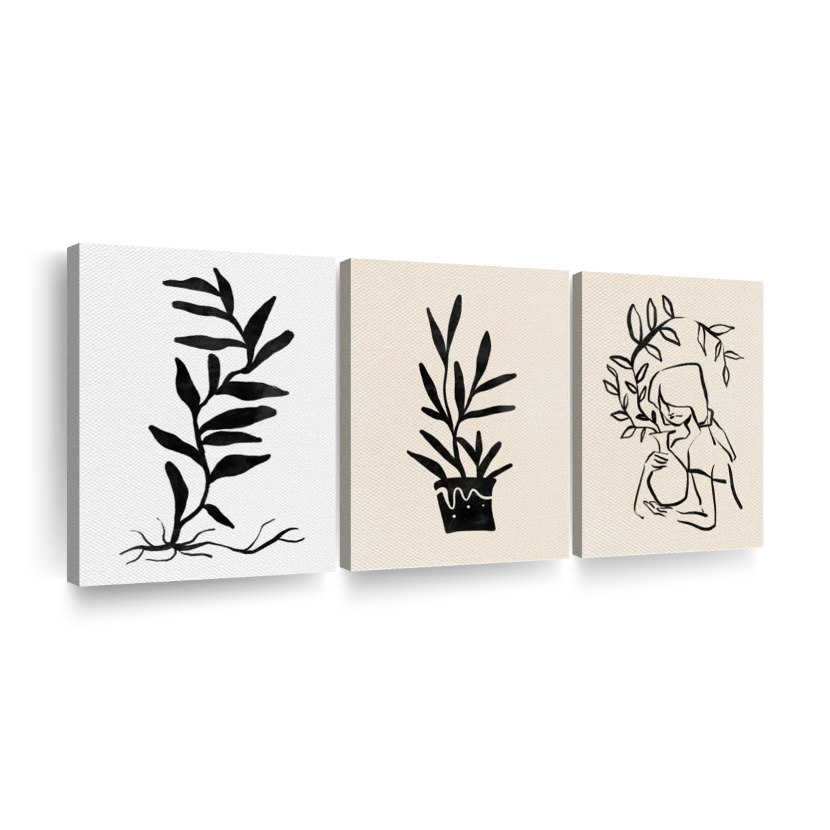 Onyx plant portraits x art canvas prints frames posters