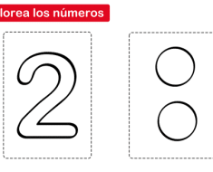 Esqueleto para recortar y colorear