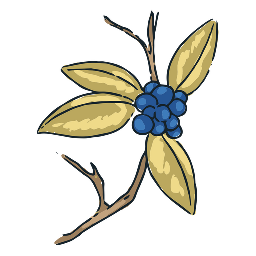 Plants png designs for t shirt merch