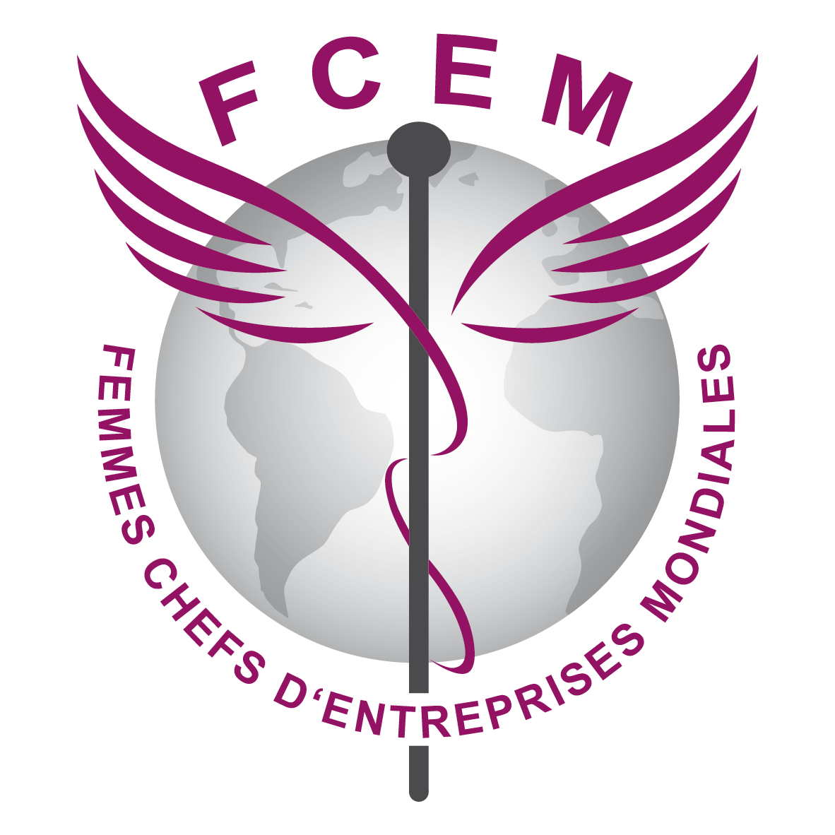Fcem paris