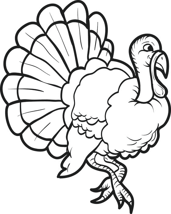 Dibujos para colorear de turquãa en noviembre