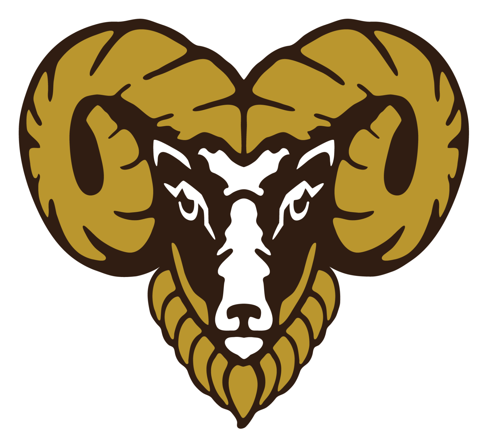 Highlands golden rams