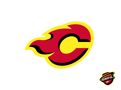 Calgary flames
