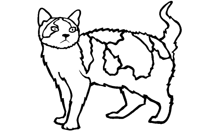Cat coloring pages kids coloring pages rkidscoloringpage