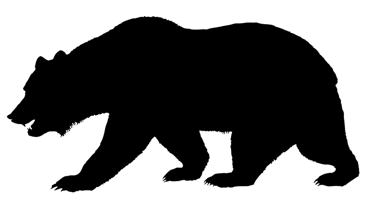 Silhouette of bear jogging through the forest a forest animal silhouette from the huge woodlands animal silhouette bear silhouette california bear