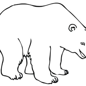 Polar bear coloring pages printable for free download