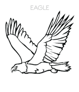 Eagle coloring pages playing learning