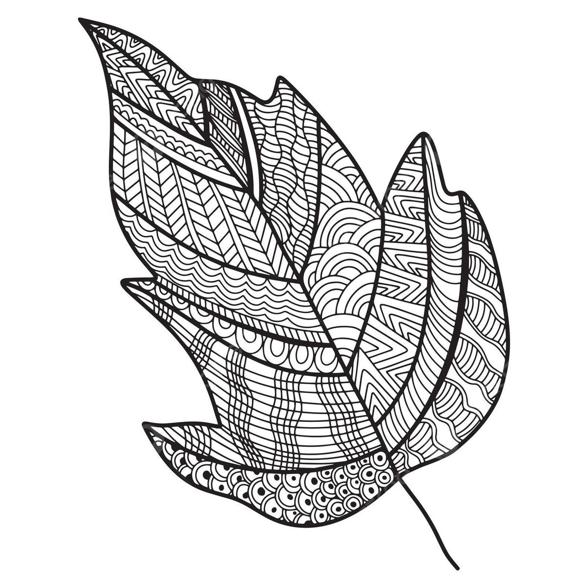 Nature coloring book zen tangle and doodle leaf illustration vector book drawing leaf drawing rat drawing png and vector with transparent background for free download