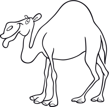 Camel coloring vector art png images free download on