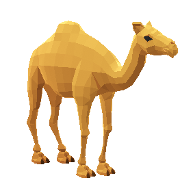 Camel